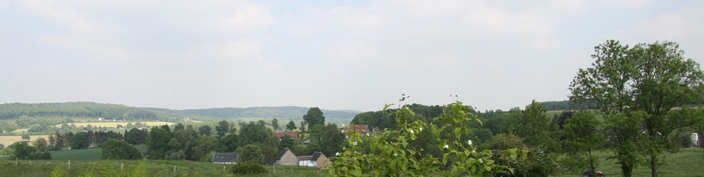 Uitzich op het Vijlenerbos